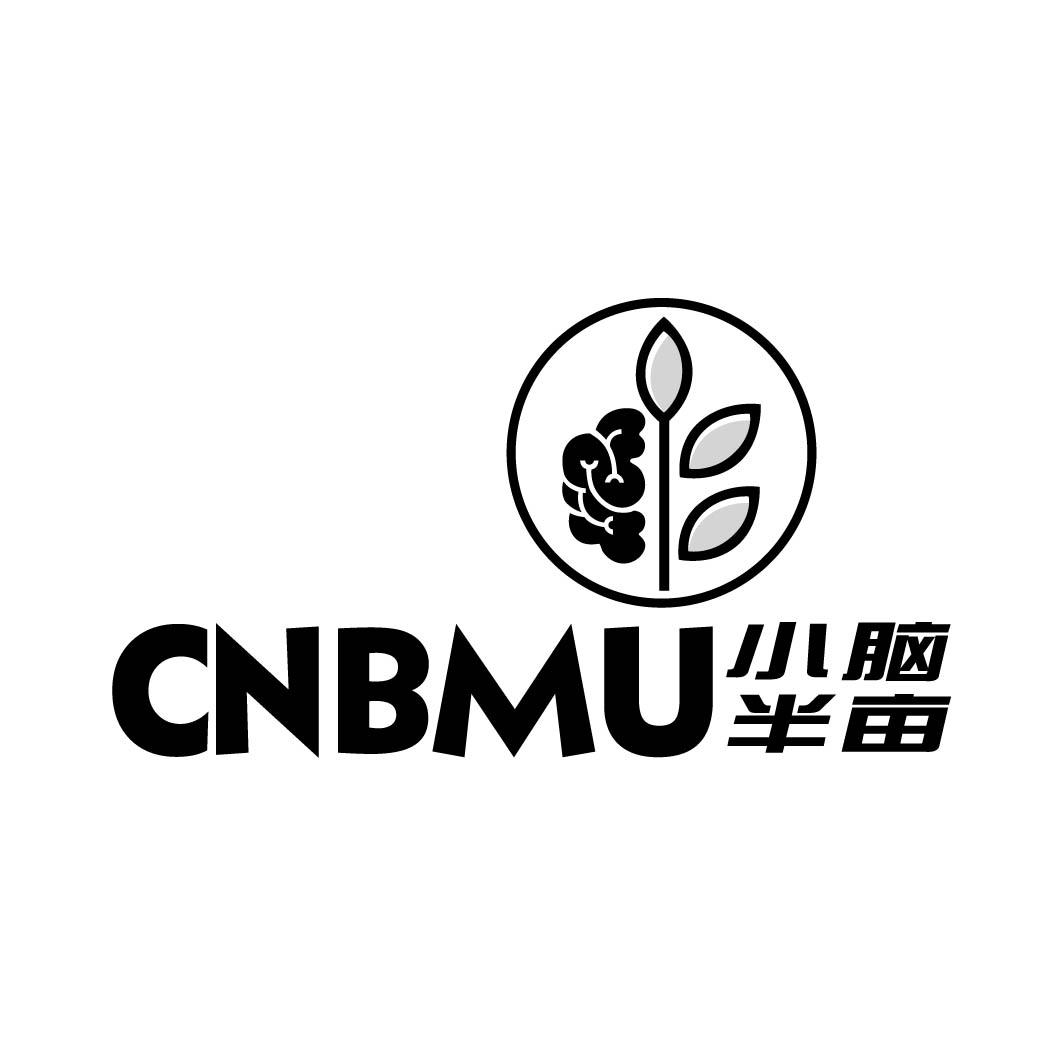 CNBMU小脑半亩