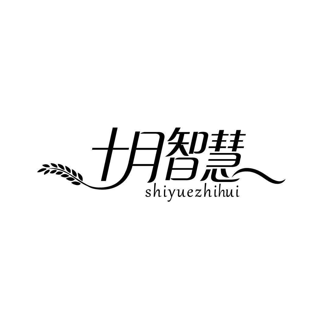 十月智慧3.44类同名